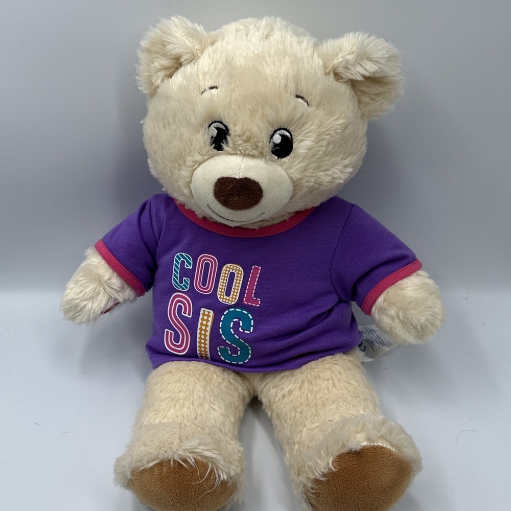 Build A Bear Honey Bear Teddy Bear Plush 16" "Cool Sis" T-shirt Big Sister Gift
